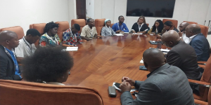 UNIVERSITÁRIOS MOÇAMBICANOS NO CAMINHO AMEFRICANO DE MALAS AVIADAS PARA O BRASIL 